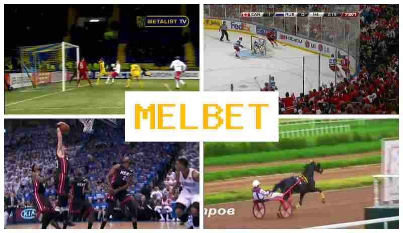 MEEL BET 🏆 Wager on Sporting Events, Virtual, Promotions and Bonuses, Official Website