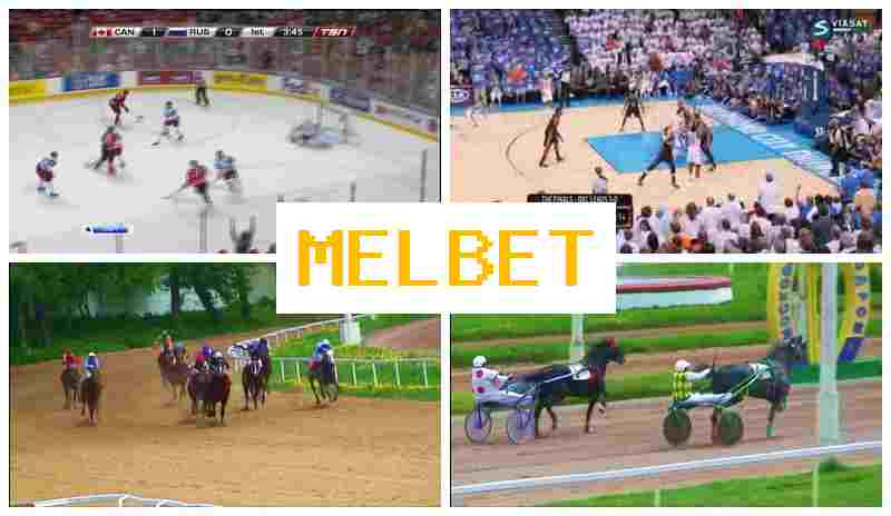 JEL BET 🔸 Betting Office, Deposit Bonus, Official Site
