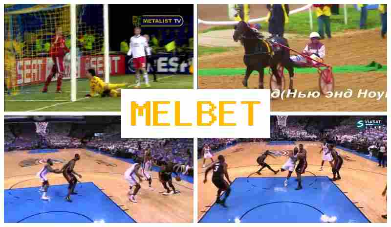 ,EL BET 🌟 Bookmaker Online, Enter Official Site, Create Account, Live Sports Betting