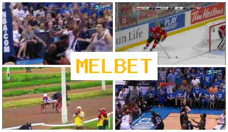 MEO BET 💴 Bookmaker Platform, Online