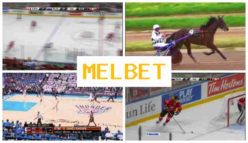 MEL NET 👍 Betting Company