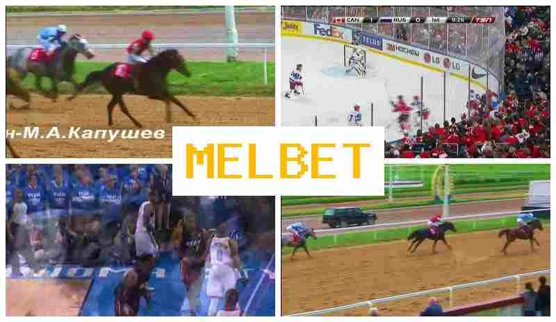 JELBET 💯 Betting Operator JELBET 💯 Betting Operator