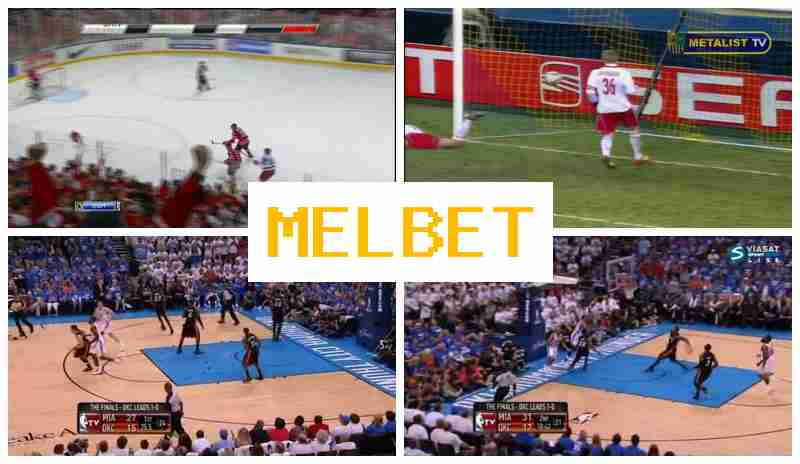 MSLBET ☑️ Sportsbook, Online