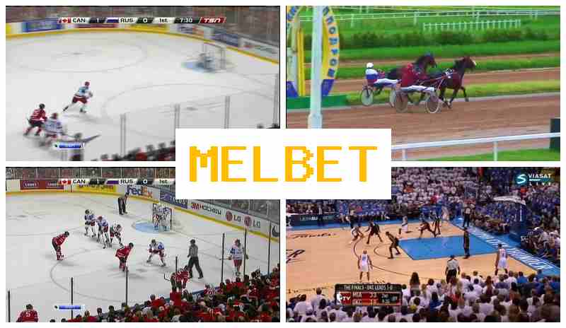 MELVET 💶 Bookmaker Platform, Online, Sign-Up Bonus, Authorized Bookmaker Portal MELVET 💶 Bookmaker Platform, Online, Sign-Up Bonus, Authorized Bookmaker Portal