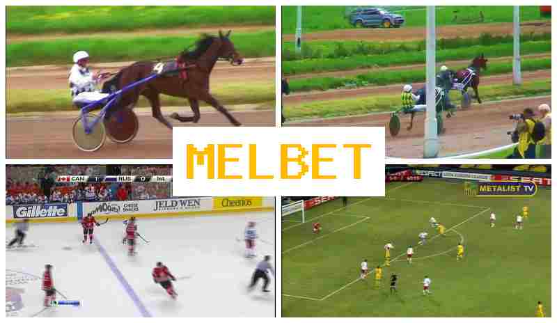 MELBST 🌐 Betting Office, Online, Official Site MELBST 🌐 Betting Office, Online, Official Site