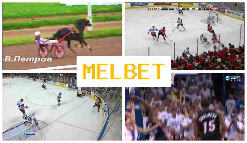 MLE BET 💴 Trusted Online Bookmaker, Register, Access Official Site, Sports Events Betting MLE BET 💴 Trusted Online Bookmaker, Register, Access Official Site, Sports Events Betting