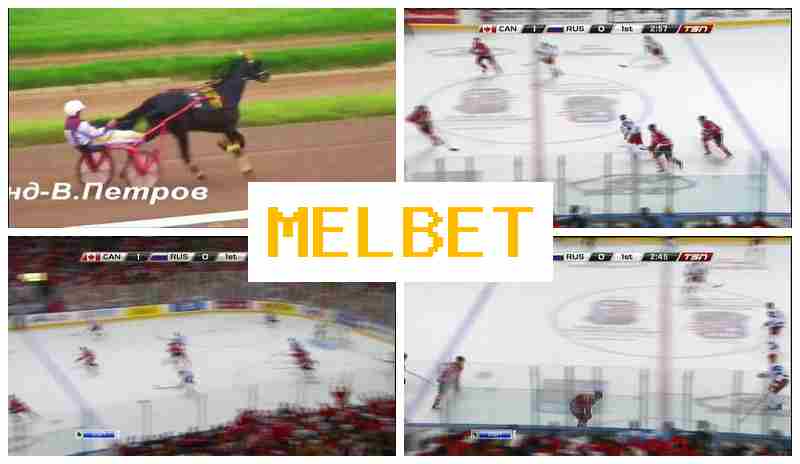 MWL BET 💴 Bookmaker Company, Online MWL BET 💴 Bookmaker Company, Online