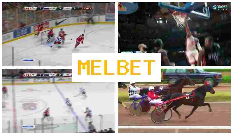 MELBWT ☑️ Betting Office, Online