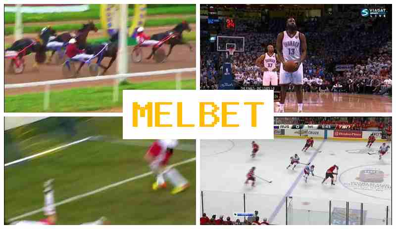 MLEBET 🎾 Online Betting Company, Create Account, Access Official Site, Bet on Live Sports