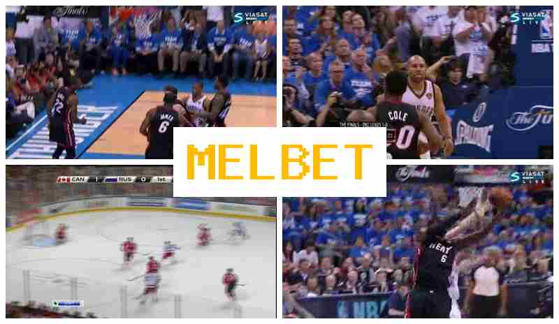 MSLBET 💶 Place Bets on Sports, Promotions and Bonuses, Official Website