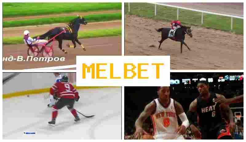 MELNET 🔵 Online Sports Bets, Free Bets and Bonuses, Official Site