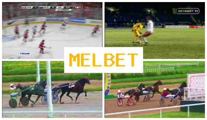 MELB4T 🔹 Betting Operator, Registration Bonus, Official Website of the Sportsbook