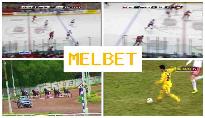 MELBEF 🏀 Wager on Sporting Events, Virtual, Promotions and Bonuses, Official Site