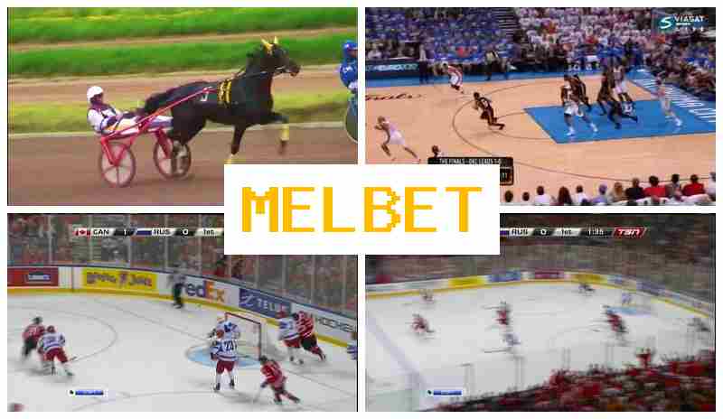 WWWMEL-BETCOM 🔶 Bookmaker Platform, Online