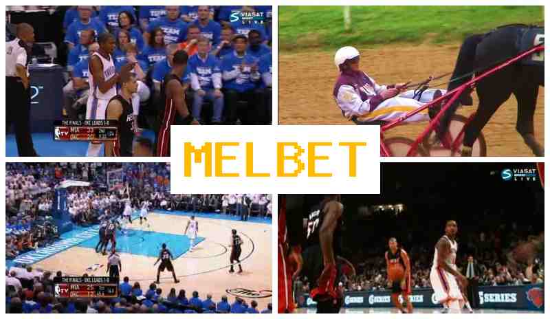 NEL BET 💸 Gambling Operator, Verified Site of the Betting Operator
