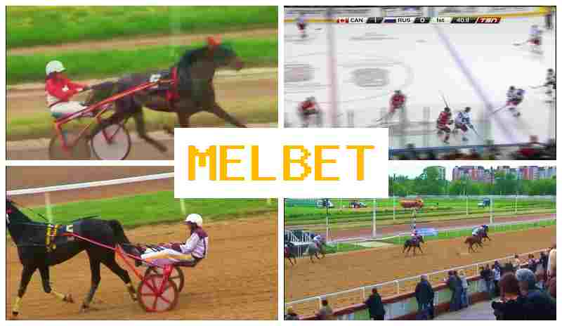 M3L BET ▒ Sportsbook Online, Sign In, Create Account