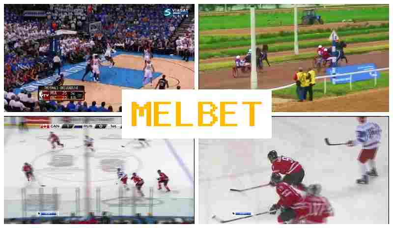 M4L BET ⚡ Betting Office, Online