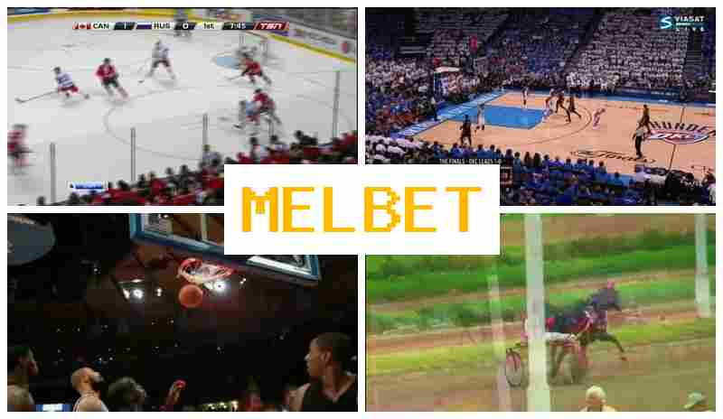 MEO BET ☑️ Authorized Betting Site, Wager on Sports Live, Free Bets and Rewards