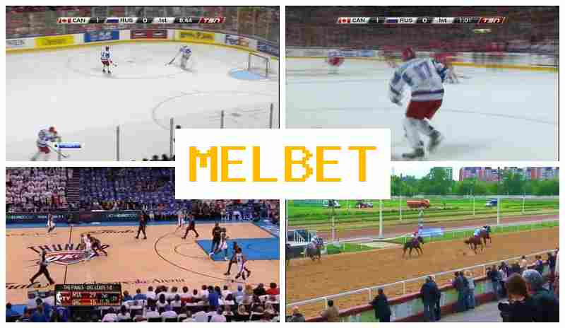 MEL VET ☑️ Bet on Sports, Welcome Bonus, Official Website