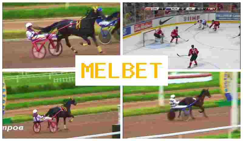MELEBT 🔷 Betting Office, Online MELEBT 🔷 Betting Office, Online
