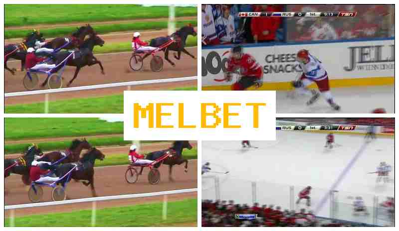 MSLBET ⚽ Official Sportsbook Platform, Sports Betting, Promotions and Bonuses MSLBET ⚽ Official Sportsbook Platform, Sports Betting, Promotions and Bonuses