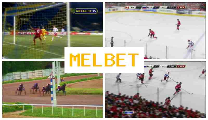 MEOBET πΎ Sports Betting, Official Website MEOBET πΎ Sports Betting, Official Website