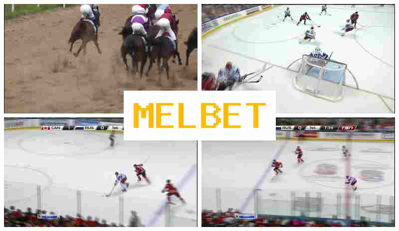 MELB3T 🔵 Betting Firm MELB3T 🔵 Betting Firm