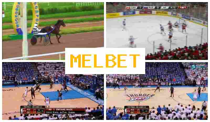 MELBE5 🆕 Live Sports Betting, Official Page of the Bookmaker