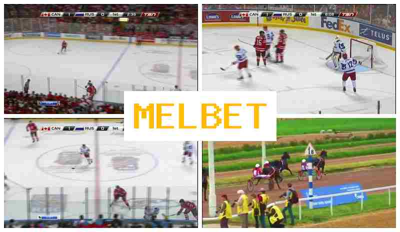 MLE BET ⚡ Authorized Bookmaker Online, Official Website, Special Offers and Rewards, Sign Up MLE BET ⚡ Authorized Bookmaker Online, Official Website, Special Offers and Rewards, Sign Up