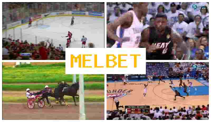 NEL BET 🏆 Bookmaker Platform, Official Website NEL BET 🏆 Bookmaker Platform, Official Website