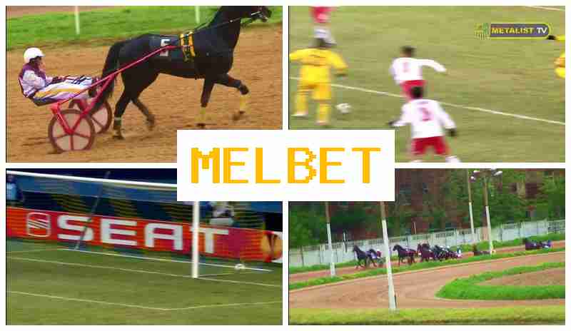 M3L BET 🔶 Online Sports Wagering, Deposit Bonus M3L BET 🔶 Online Sports Wagering, Deposit Bonus