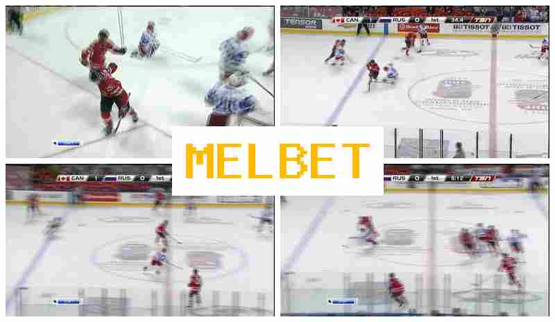 MSL BET 🎾 Sportsbook, Official Website MSL BET 🎾 Sportsbook, Official Website