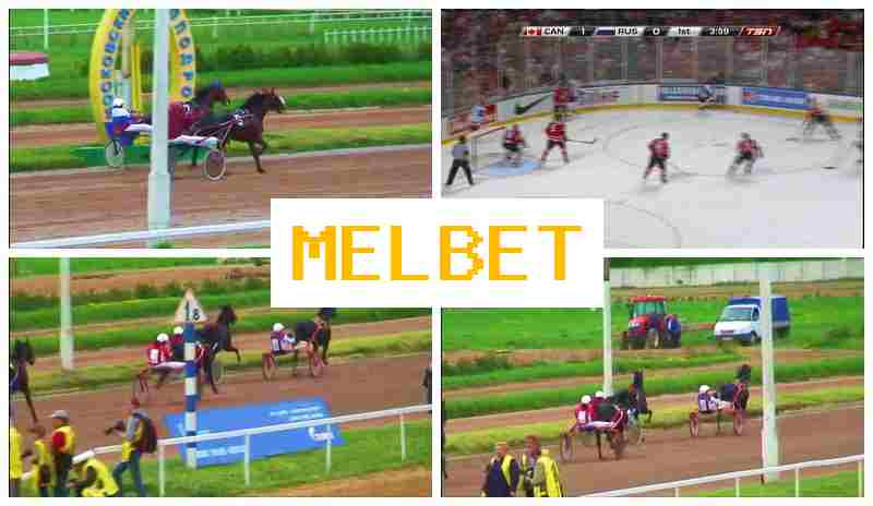 MEL BEF 🆗 Sportsbook, Online, Official Website MEL BEF 🆗 Sportsbook, Online, Official Website