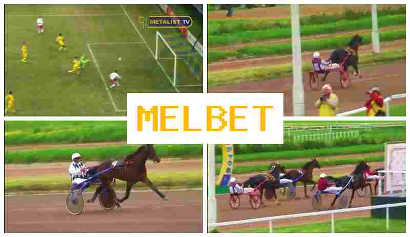 MELLBET ☑️ Betting Platform, Official Site, Promotions and Bonuses, Registration MELLBET ☑️ Betting Platform, Official Site, Promotions and Bonuses, Registration