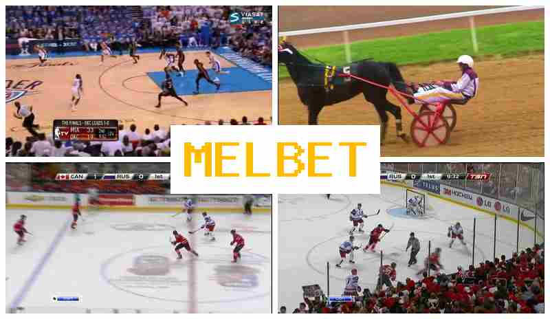 M4LBET 🎾 Online Bookmaker, First Deposit Bonus, Official Website of the Sportsbook