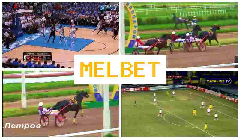 MELBEF 🔸 Betting Operator MELBEF 🔸 Betting Operator
