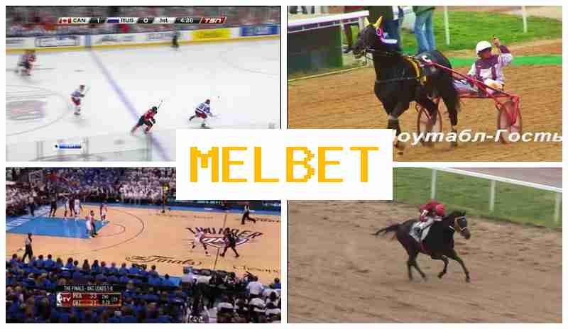 MELLBET ๐ด Sportsbook Bets, Internet Betting, Free Bets and Promotions, Authorized Sportsbook Site MELLBET ๐ด Sportsbook Bets, Internet Betting, Free Bets and Promotions, Authorized Sportsbook Site
