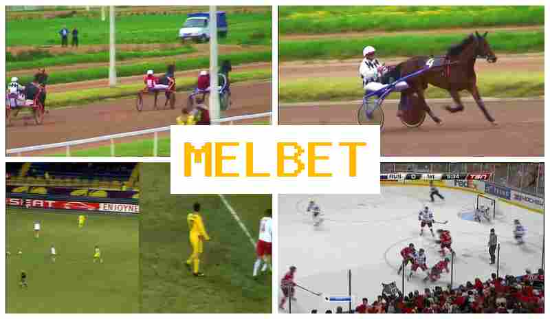 MEOBET 💯 Betting Platform, Official Site, Promotions and Bonuses, Registration