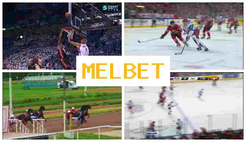 MELBE5 ๐พ Bookmaker Office, Introductory Bonus MELBE5 ๐พ Bookmaker Office, Introductory Bonus