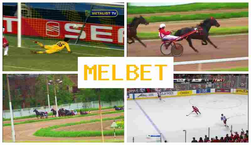 MELL BET 💲 Online Sports Bets, Official Portal of the Betting Company MELL BET 💲 Online Sports Bets, Official Portal of the Betting Company