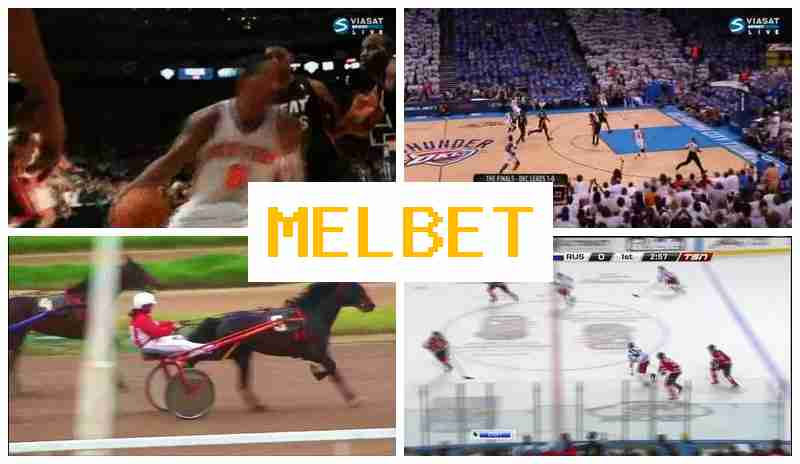 EML BET 🏀 Bookmaker Company, First Deposit Bonus, Official Site