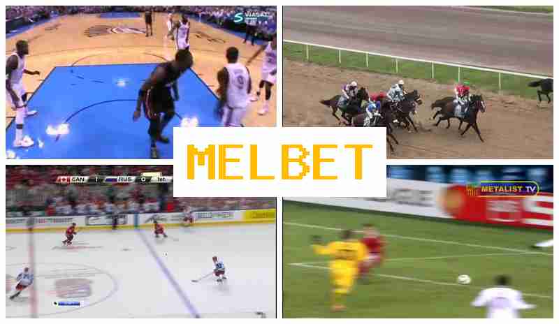 MELET 🌟 Online Sports Bets, Virtual, Official Website