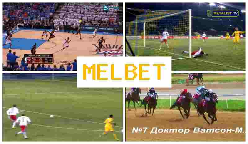 NEL BET ✔️ Bookmaker Company, Online, Official Site