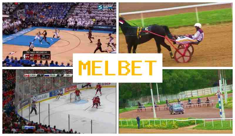MEL BEF 🆓 Official Bookmaker Platform, Place Sports Bets, Promotions and Special Offers MEL BEF 🆓 Official Bookmaker Platform, Place Sports Bets, Promotions and Special Offers