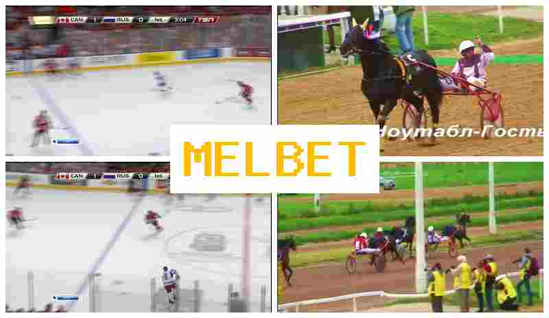M3LBET █ Betting Firm M3LBET █ Betting Firm