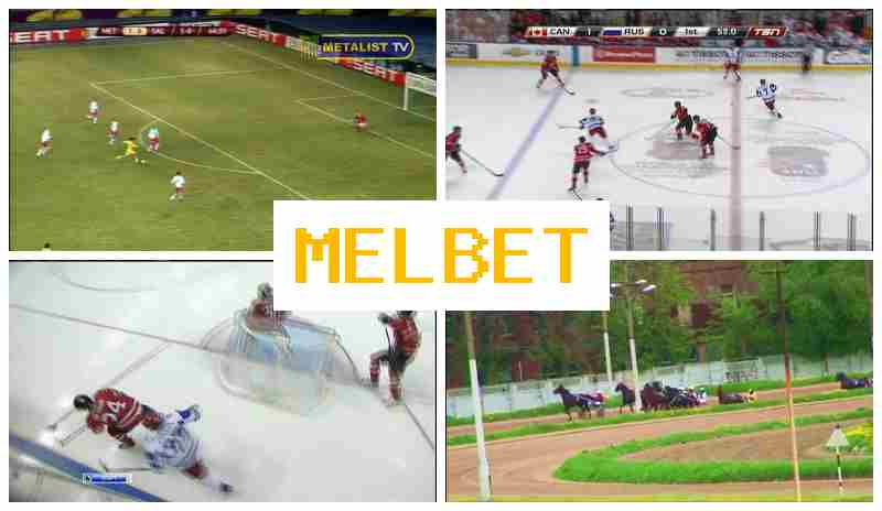 EML BET 💷 Bookmaker Platform, Free Bets