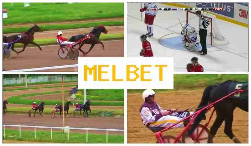 MEL BTE 🔸 Bookmaker Company MEL BTE 🔸 Bookmaker Company