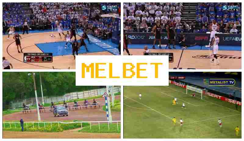 MEO BET ⚾ Betting Company MEO BET ⚾ Betting Company