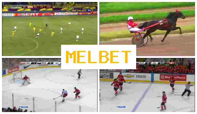 M3LBET 🆗 Betting Firm, Sports Wagering