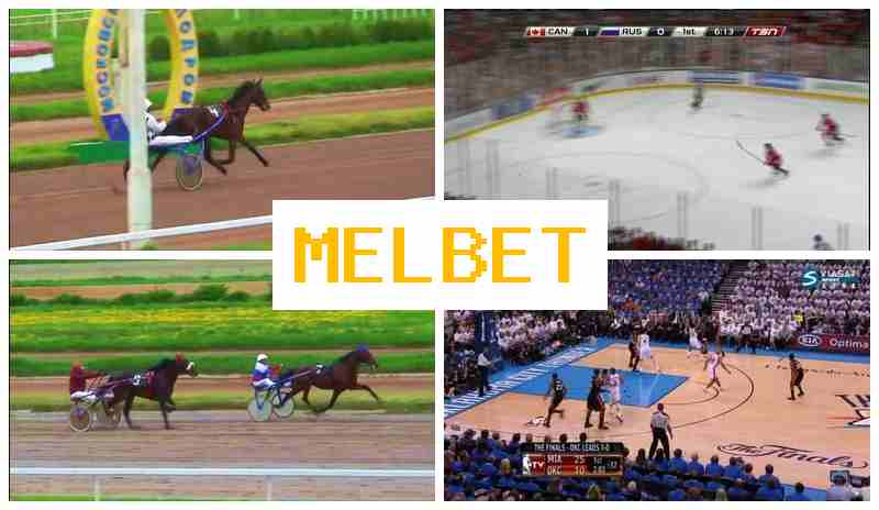 MELB3T 🏀 Bookmaker Company MELB3T 🏀 Bookmaker Company
